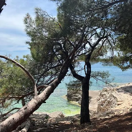 Istria Апартаменты Банджоле