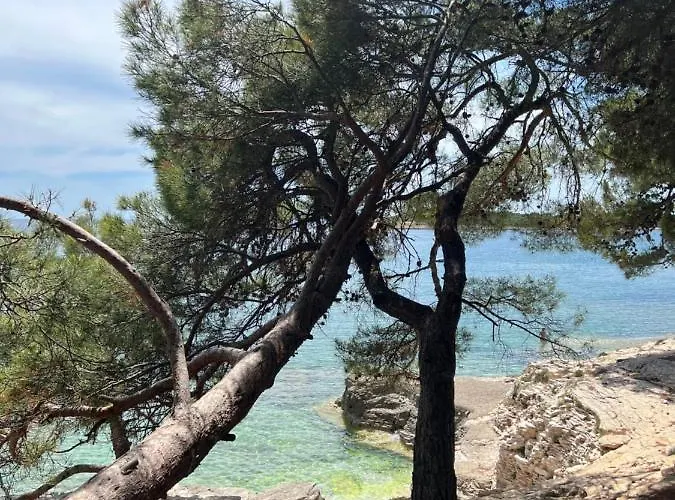Istria Διαμέρισμα Banjole